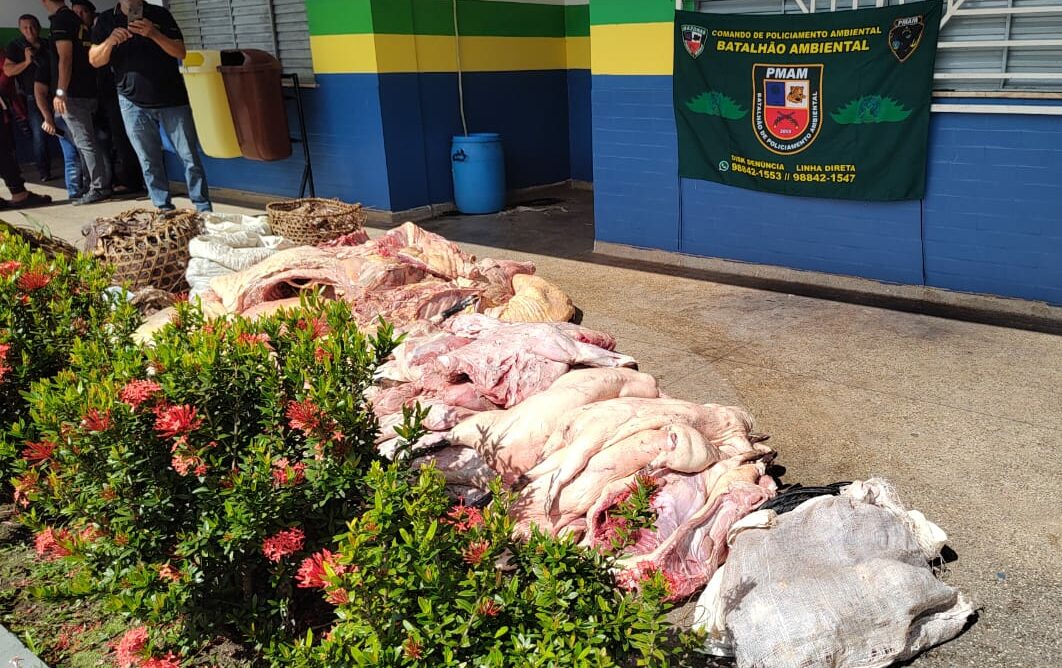 Carne de caça Coari PM