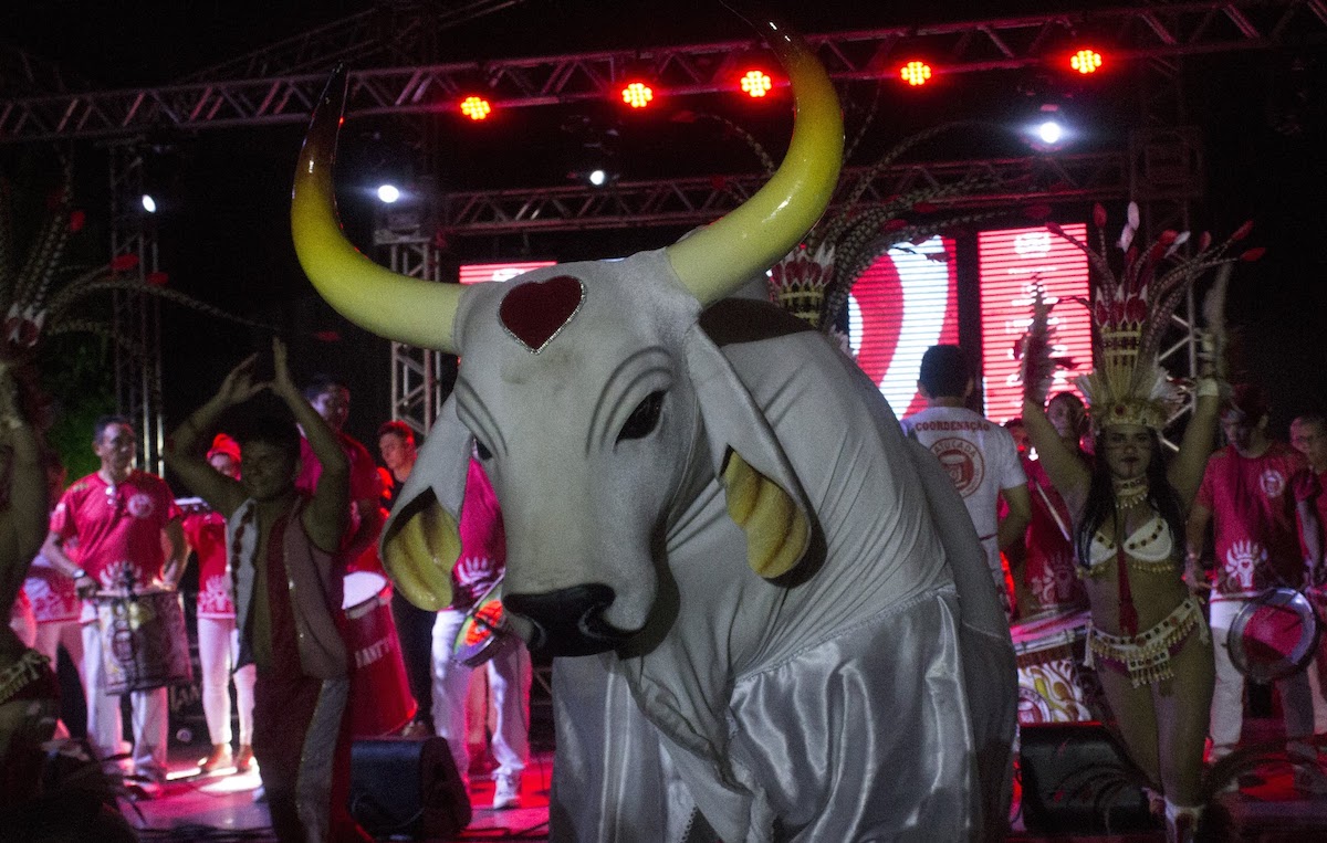 Ensaio dos bumbás, em Manaus, em 2018