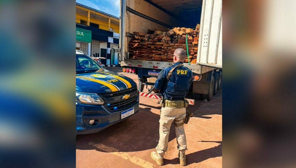 BR-174: carga ilegal de madeira é apreendida pela PRF no Amazonas