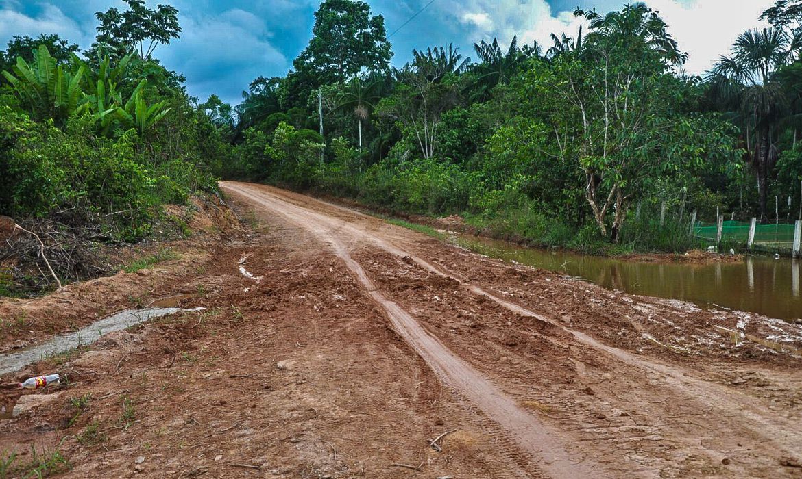 Justiça bloqueia R$ 95,6 milhões de criminosos ambientais