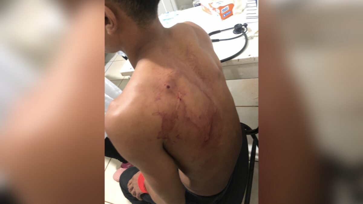 Cúpula da Amazônia: três indígenas são baleados na véspera no Pará