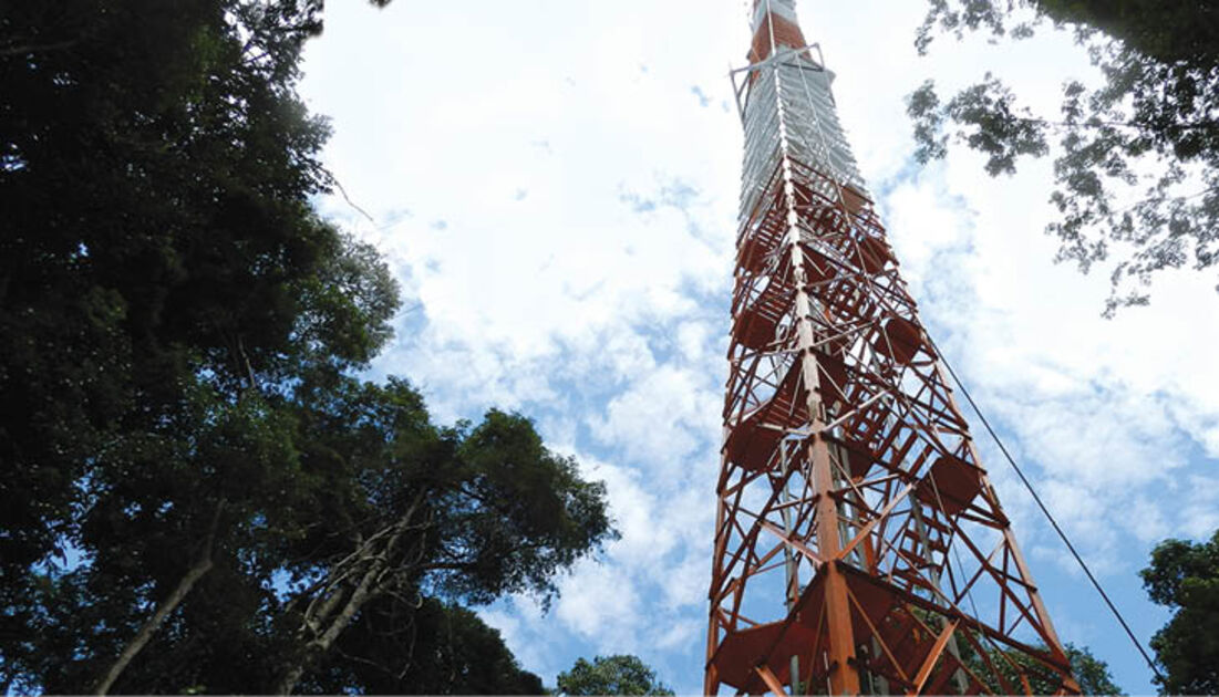 Torre Alta da Amazônia