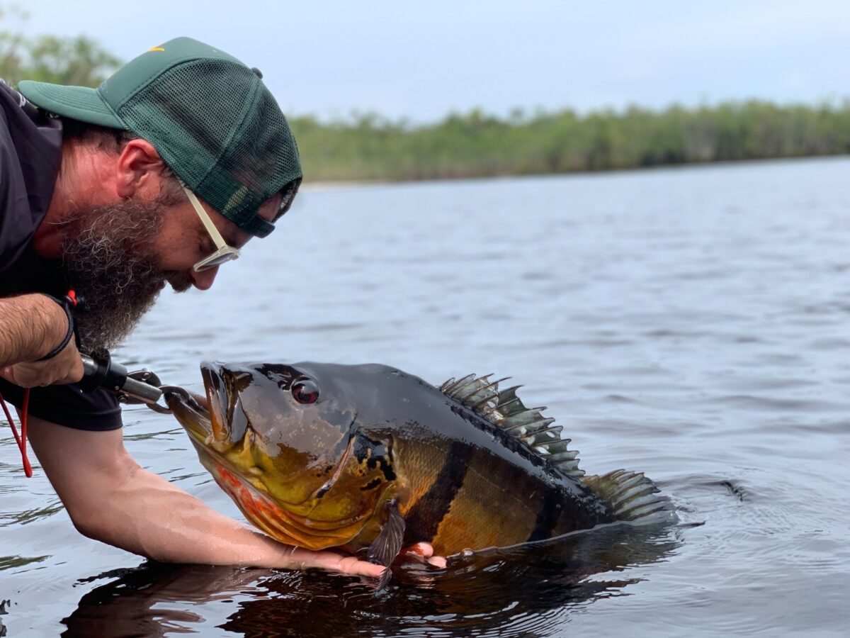 Turismo no Amazonas fatura R$ 420 milhões no semestre