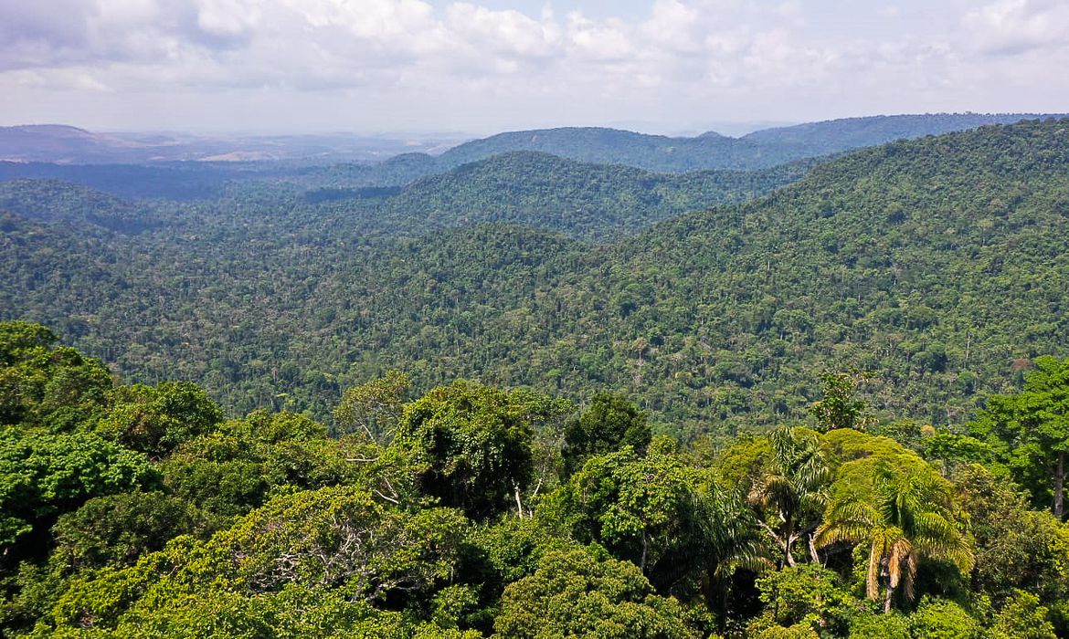 Fundo Amazônia investe R$ 600 milhões contra desmatamento