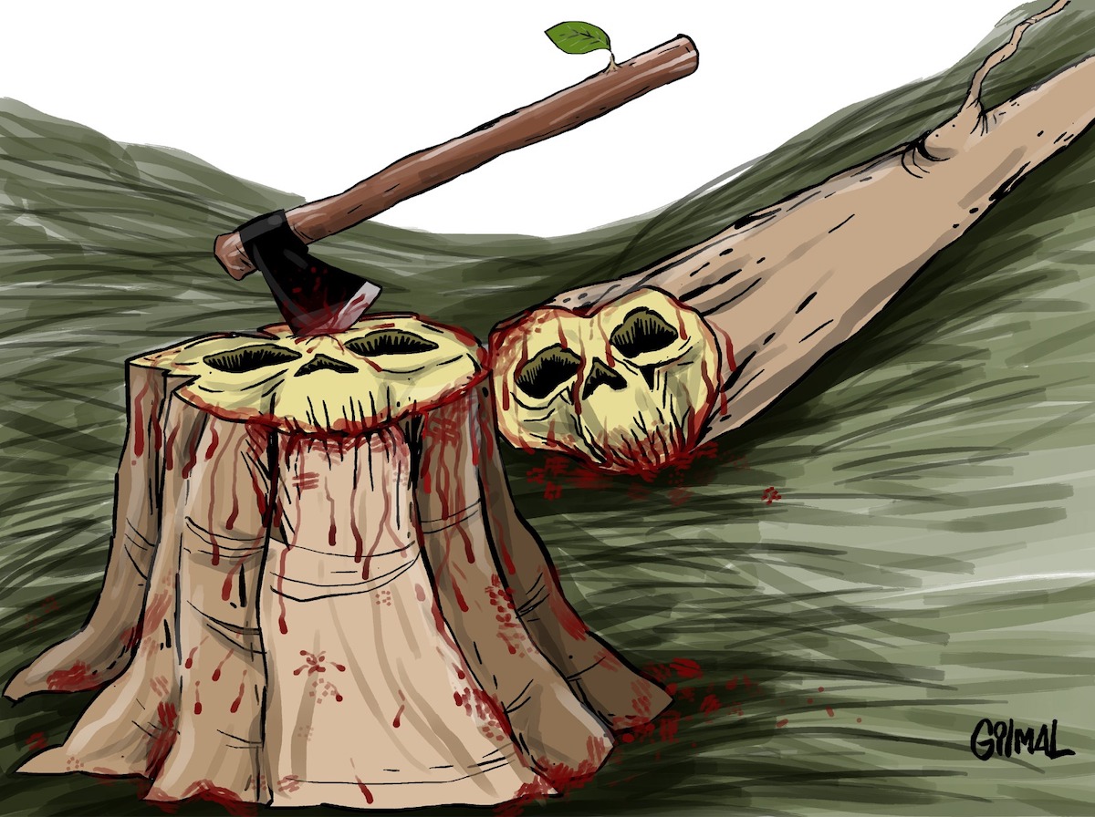 Extrativismo na Amazônia é uma ilusão