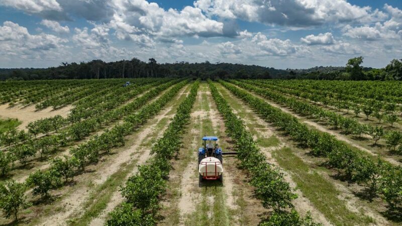 Feira da Suframa quer tirar distrito agropecuário do abandono