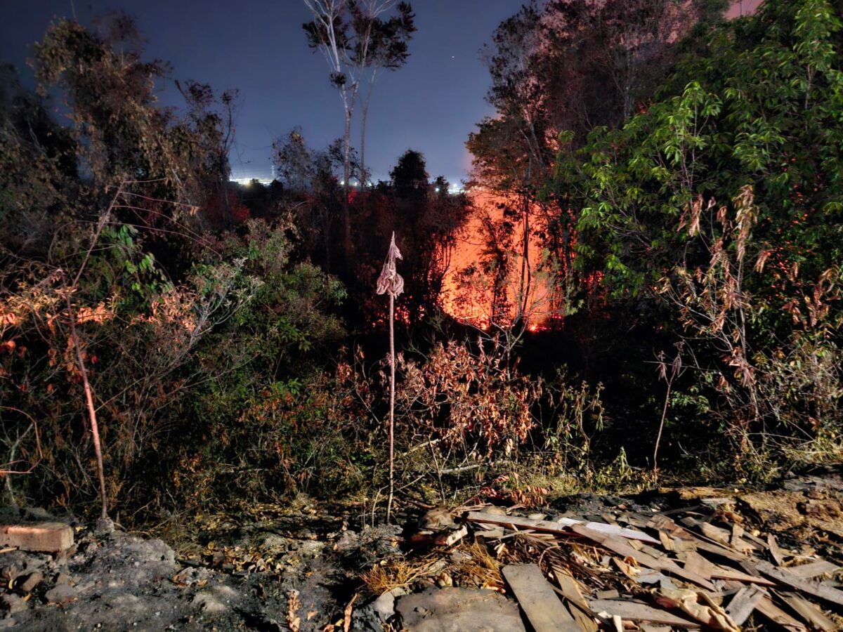 Invasão de terra e desmatamento levam 51 à prisão em Manaus