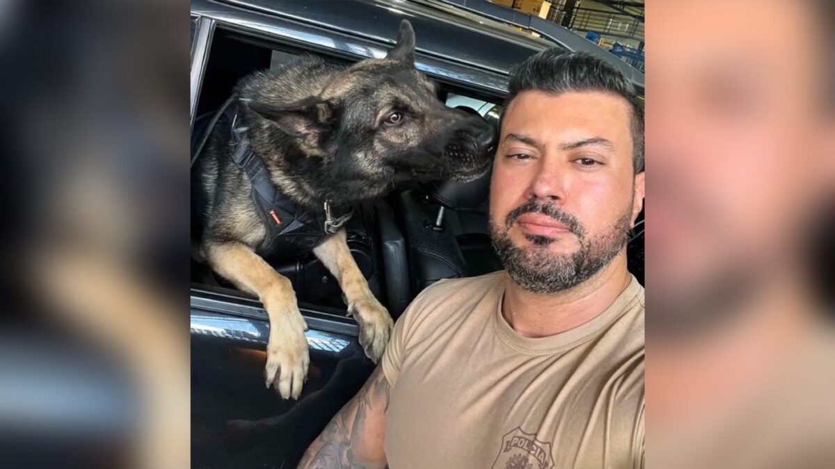 Febre amarela mata policial federal em Roraima