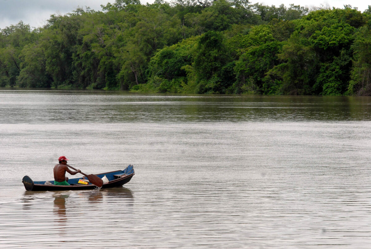 fundo amazônia