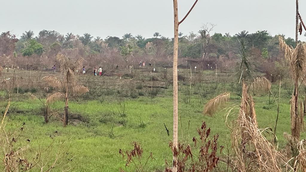 Ocupação área Ponte Rio Negro