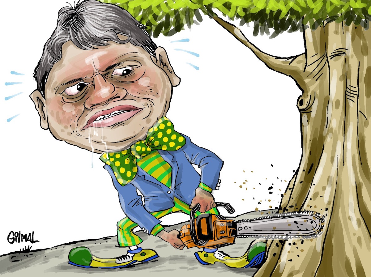 Prefeito, a culpa não é das árvores!  Arte Gilmal