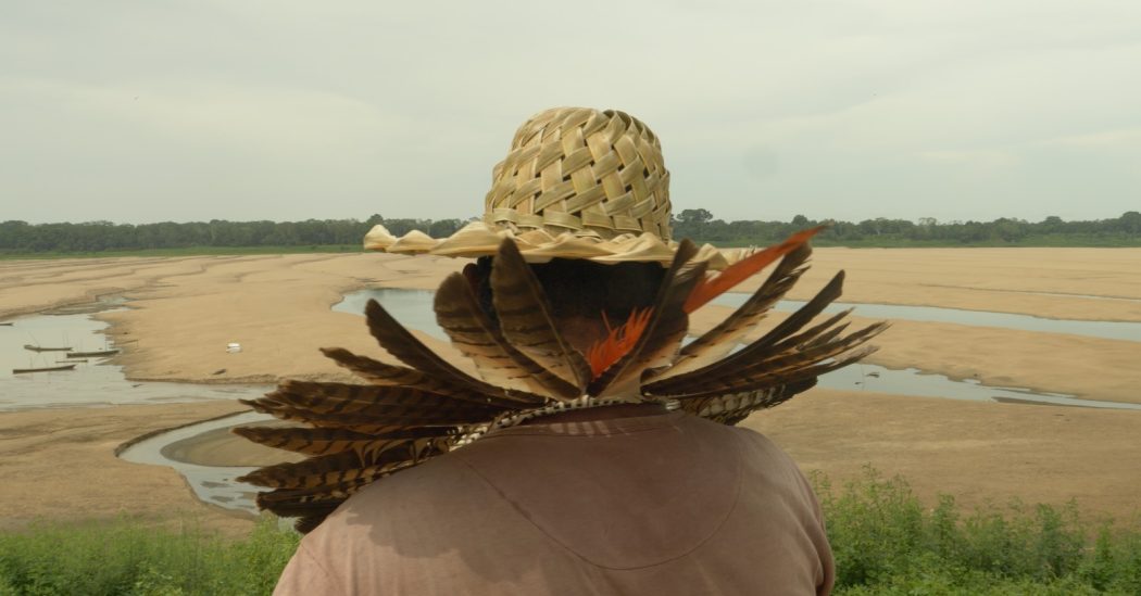 Amazônia: entidades ambientais e indígenas chamam a ações urgentes