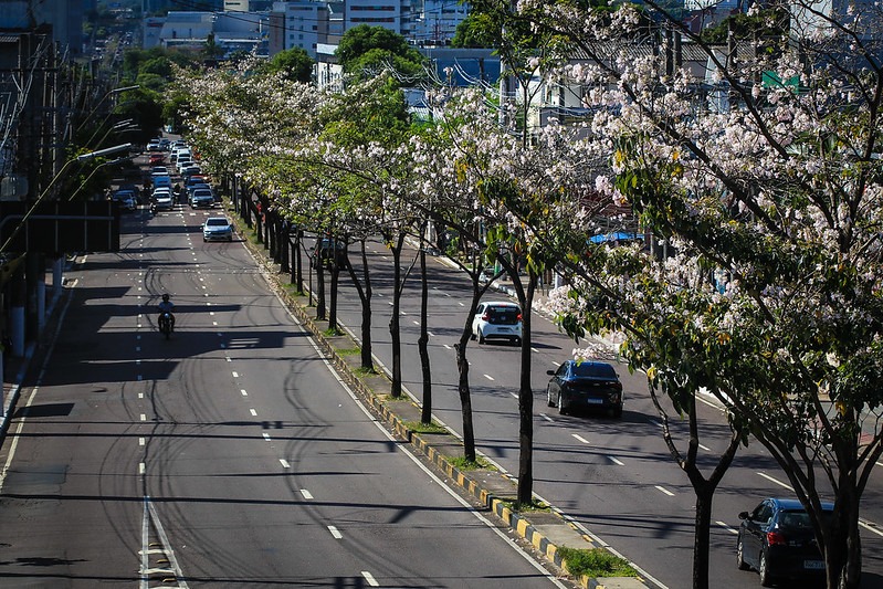 ONU escolhe Manaus para projeto de recuperação ambiental