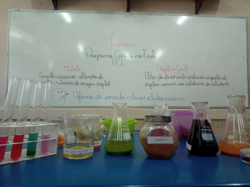 Alunos extraem corantes naturais para alimentos em Tefé