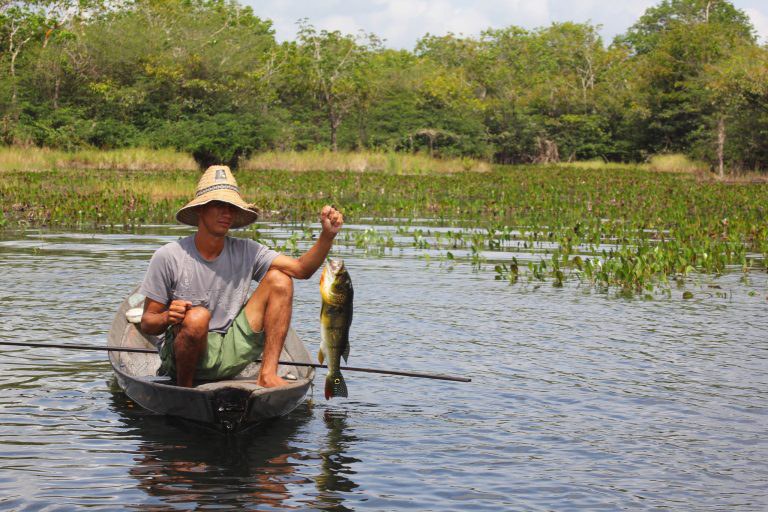 Sai cronograma do auxílio extraordinário para pescadores do Norte