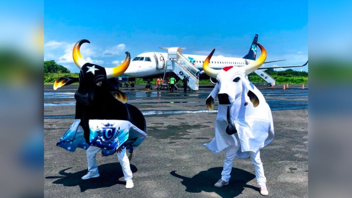 Caprichoso e Garantido Azul patrocinadora do festival de Parintins