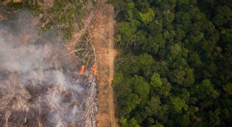 BR-319: desmatamento, queimadas e invasões avançam, diz Ibama