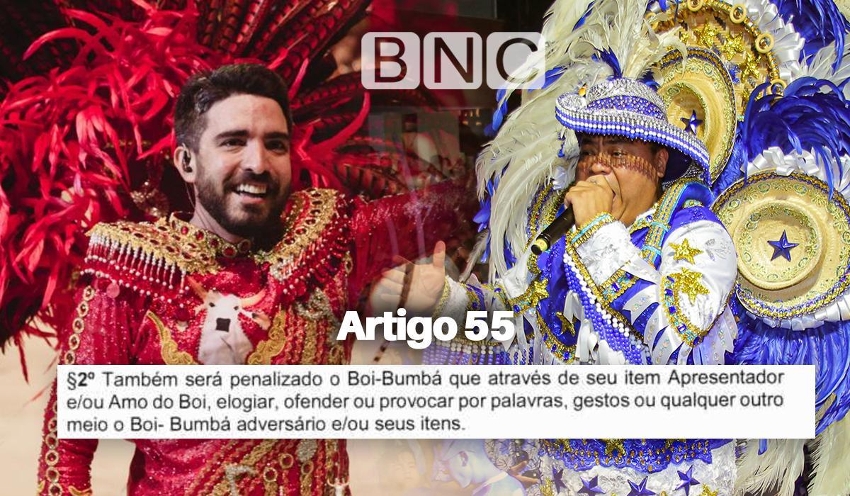Amo do Boi