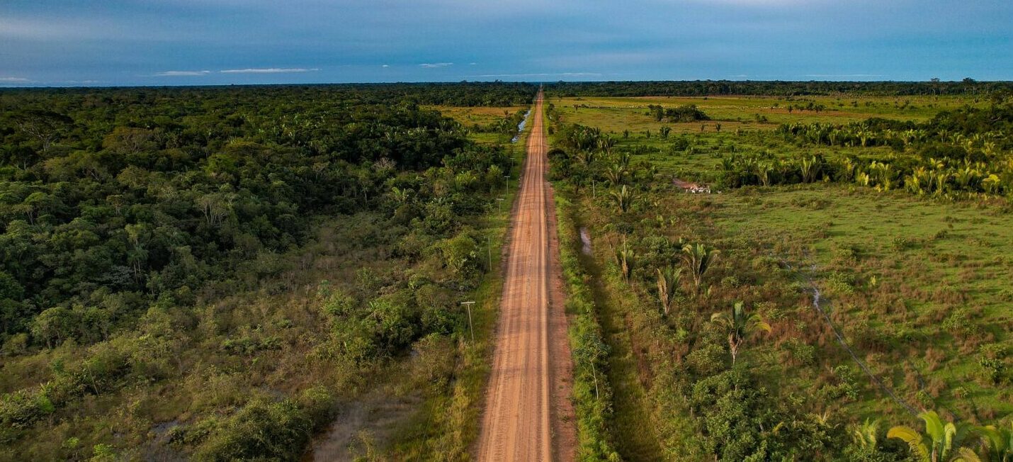 Amazônia: estradas já afetam 41% da região e aumentam pressão sobre a floresta