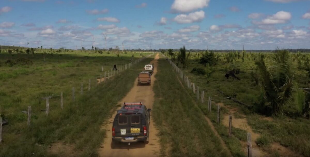 Sul do Amazonas: maior desmatador usa ‘laranjas’ para esconder crimes