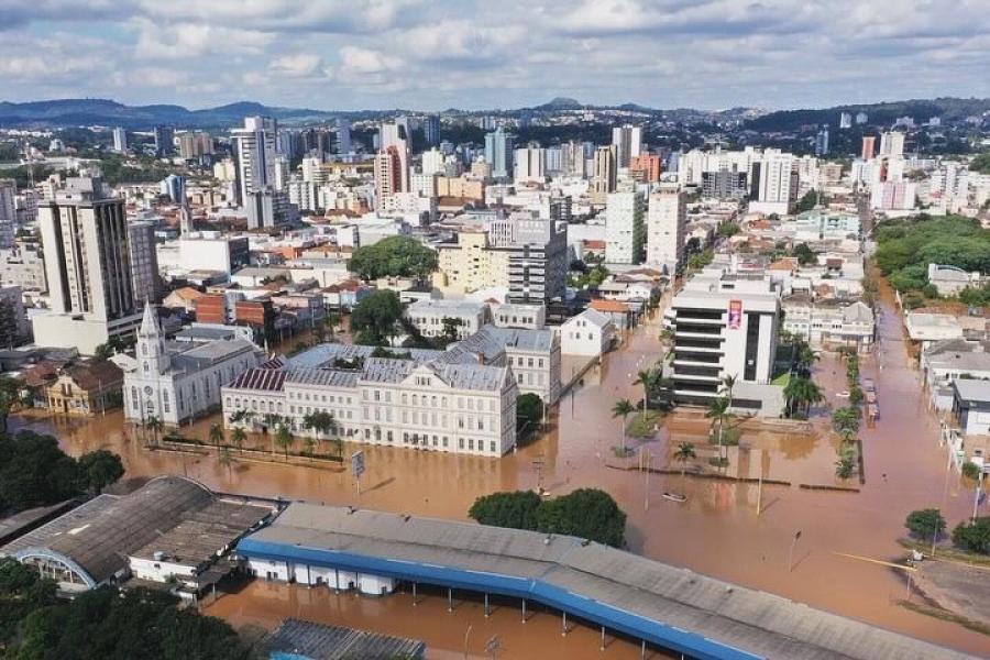 Amazônia: gado apreendido em terra pública pode ser doado ao RS
