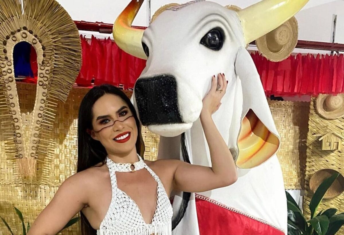 Caso Djidja: dois donos de clínicas veterinárias estão entre 11 indiciados pela polícia