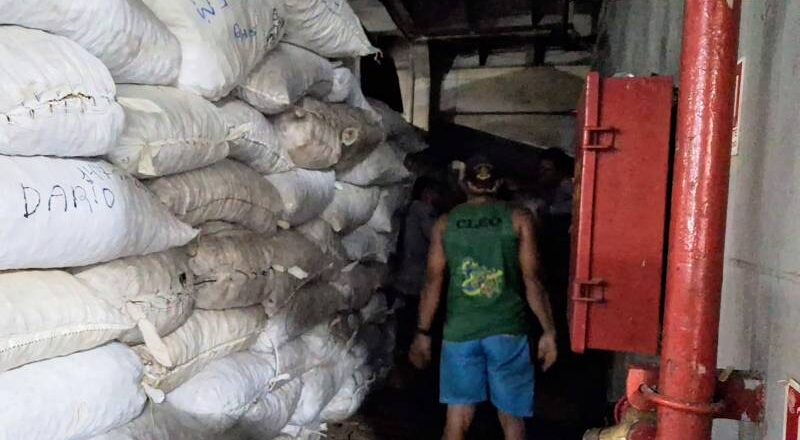Pará impede entrada clandestina de cacau em navio do Amazonas