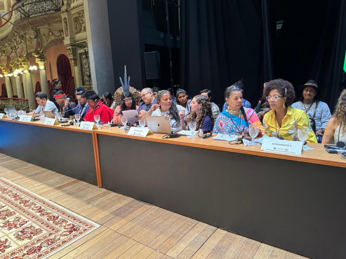 Grupos vulneráveis pedem ações contra emergência climática