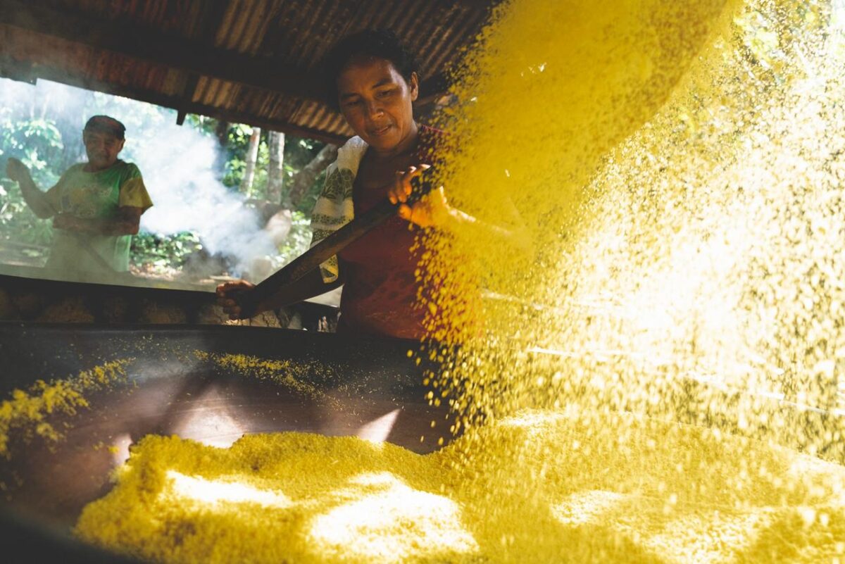 Amazônia: Bioeconomy Amazon Summit, da ONU, debate empreendedorismo