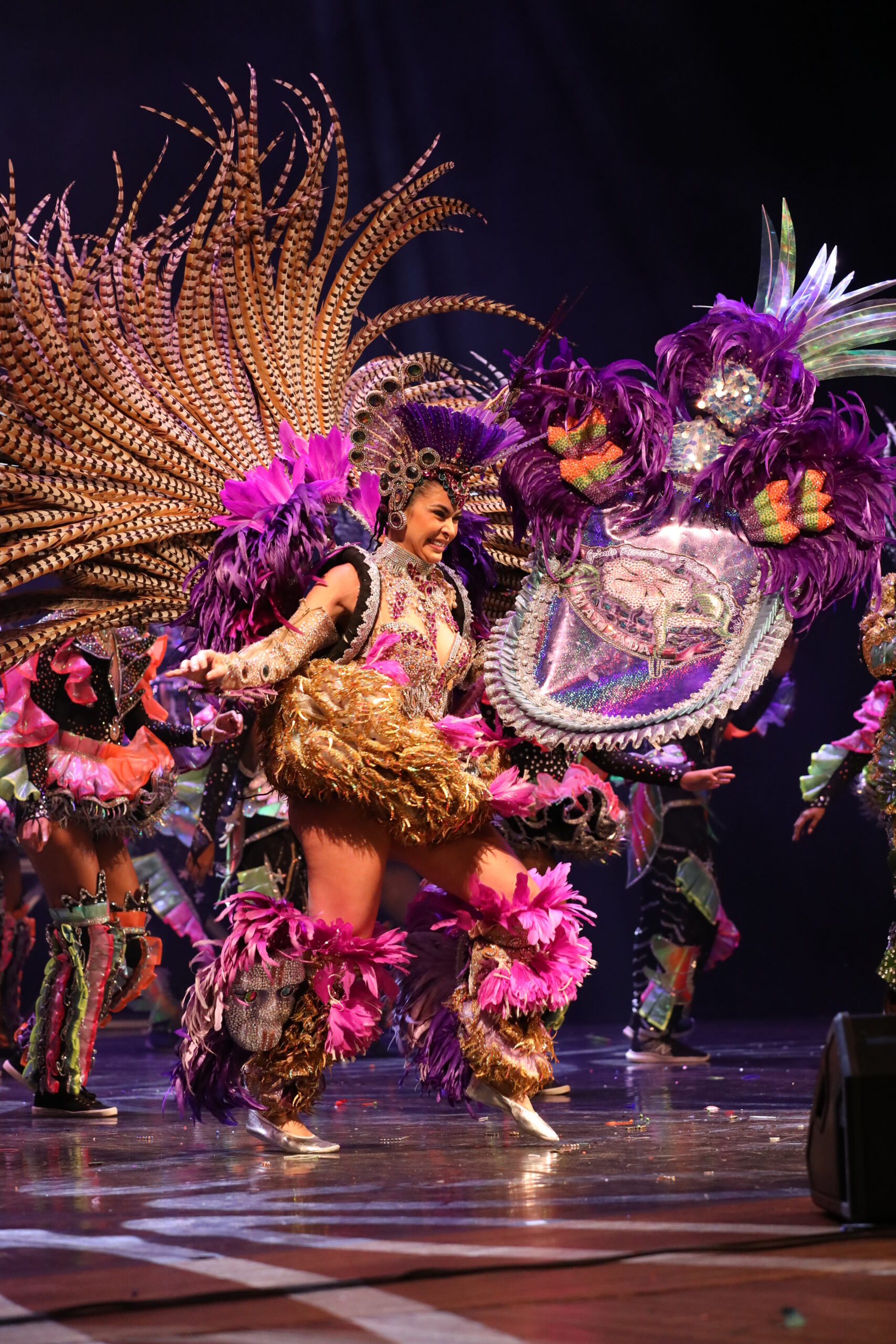 Matizada- POrta Cores - Thaísa Brasil - teatro amazonas