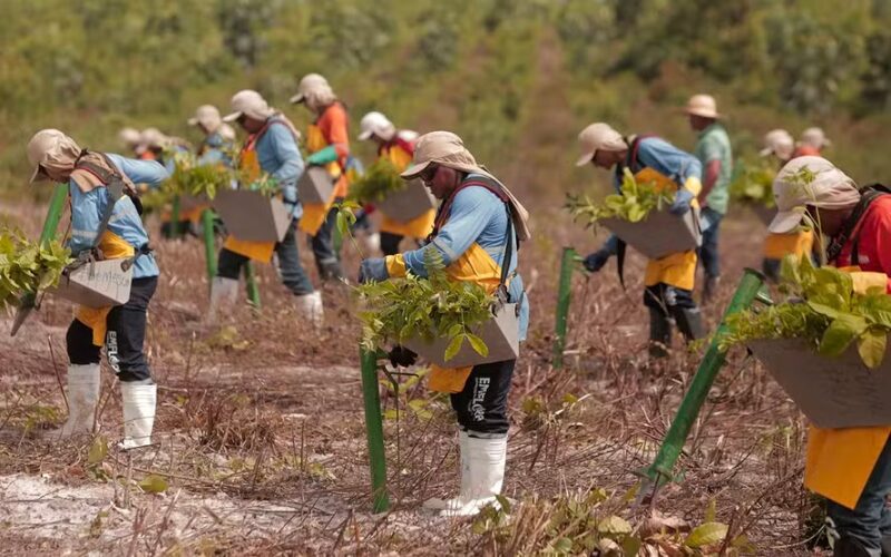 Com 3 anos de vida, startup ganha crédito de R$ 160 milhões do BNDES