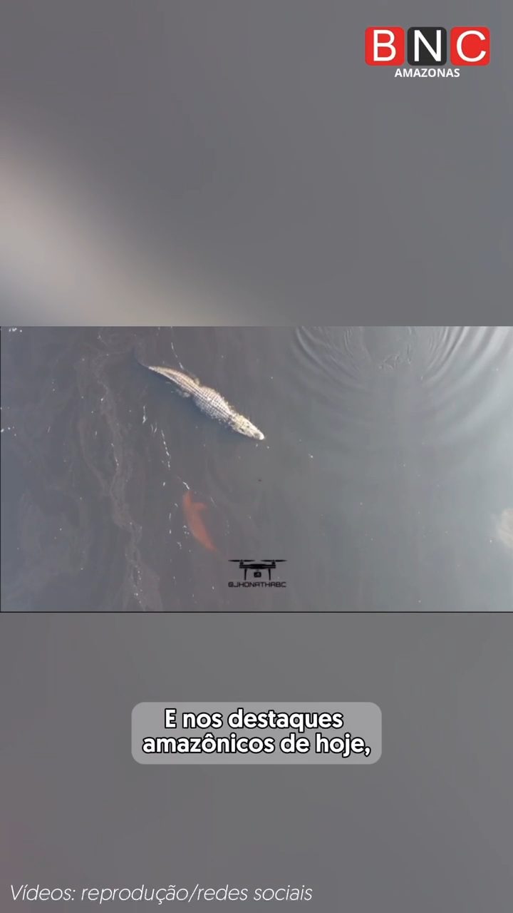 video-amazonico-poster