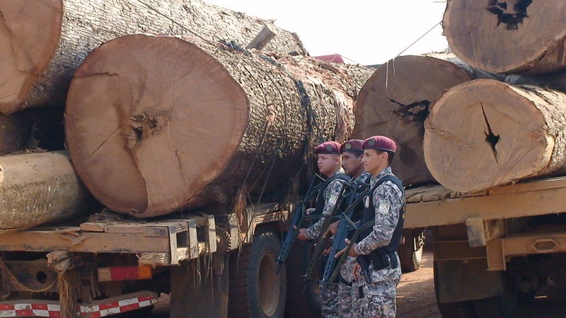 Força Nacional vai combater desmatamento e garimpo ilegal na Amazônia até junho