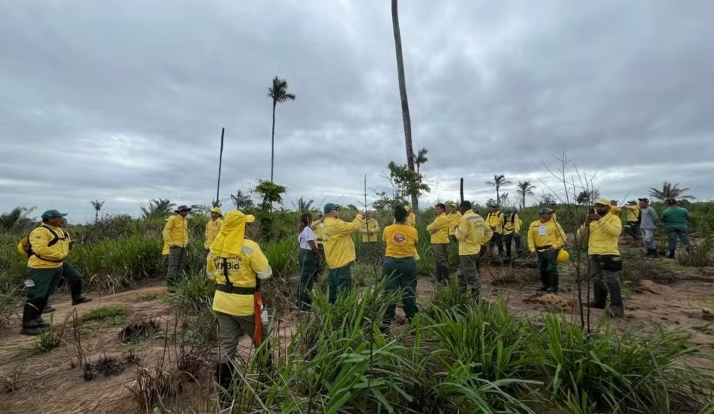 Amazônia: ianomâmis atuam como brigadistas no combate a incêndios em RR