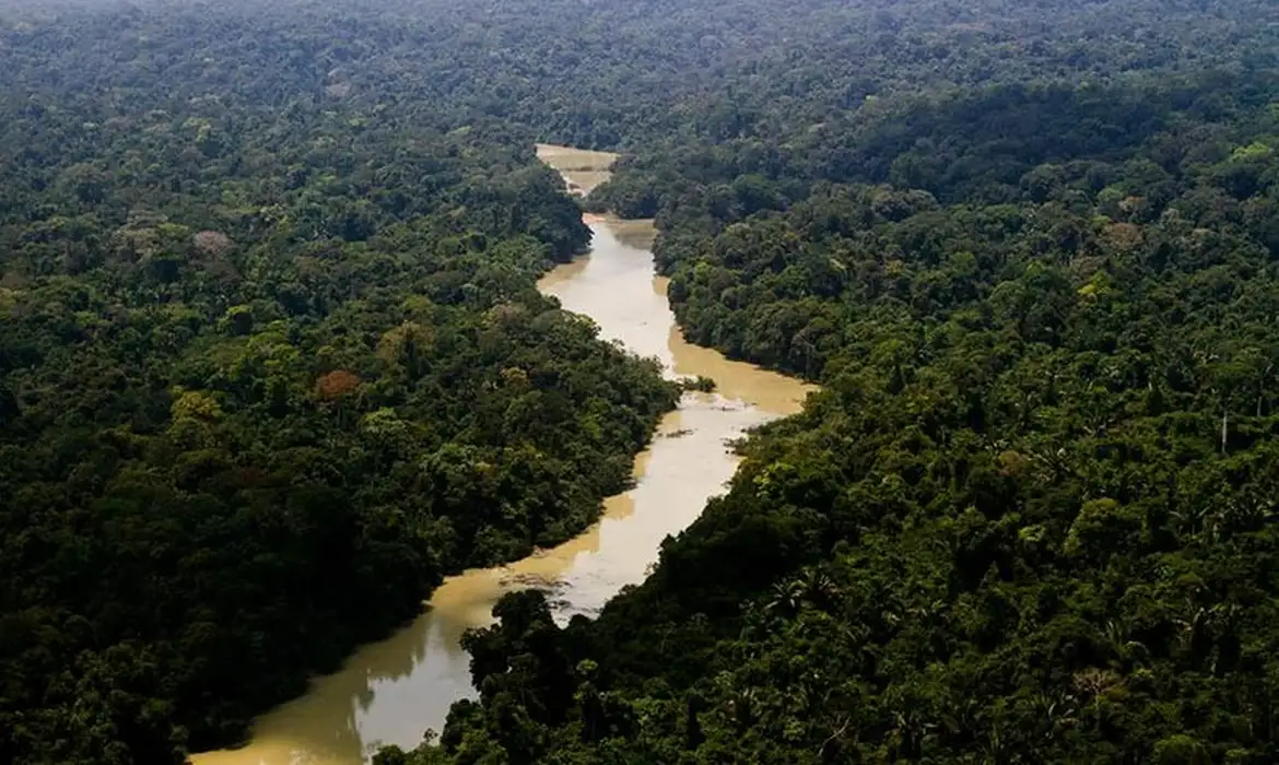 Amazônia: avião cai com cinco pessoas em pântano cheio de jacarés