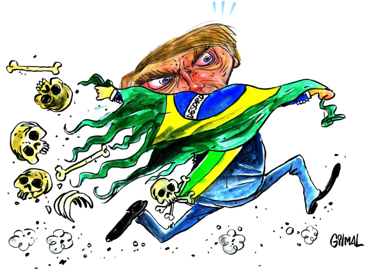 A lógica da performance na política