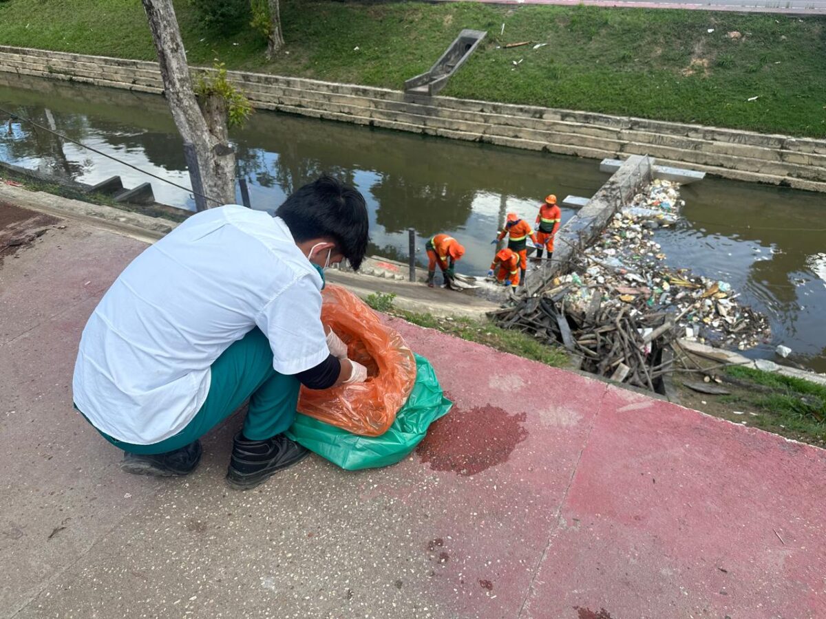Meio ambiente: Manaus crema 1,4 mil animais domésticos por mês