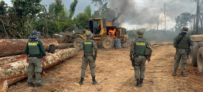 Amazônia: desmatamento cresce 55% em abril