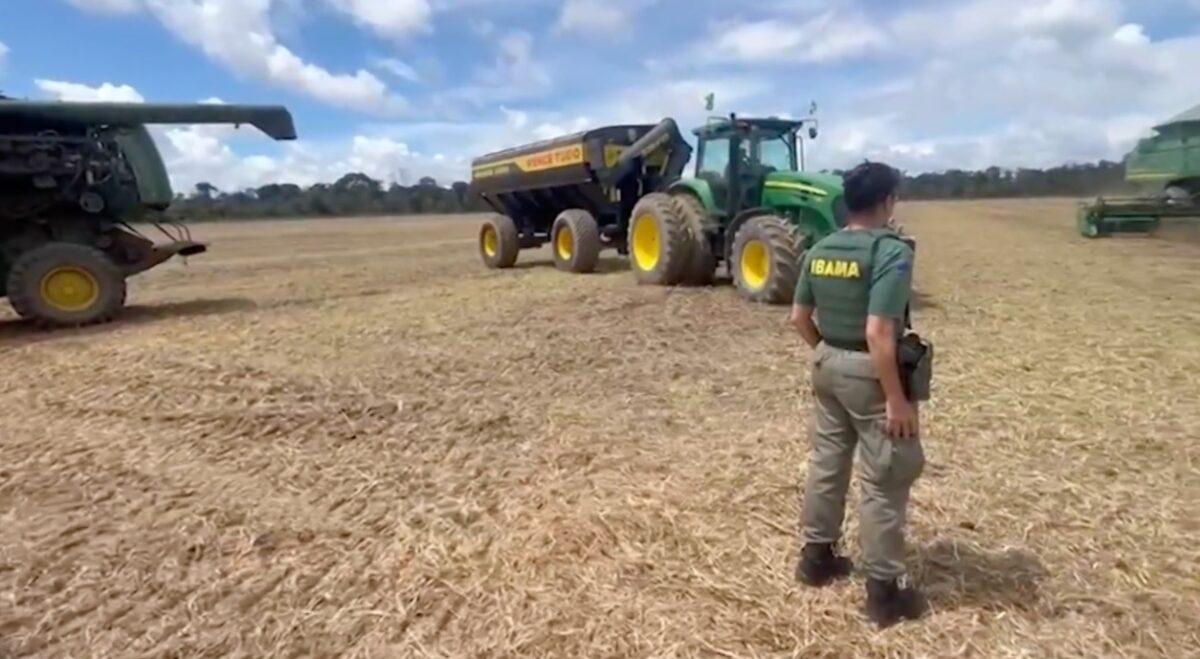 Amazônia: Ibama embarga mil hectares em Belterra e Alter do Chão