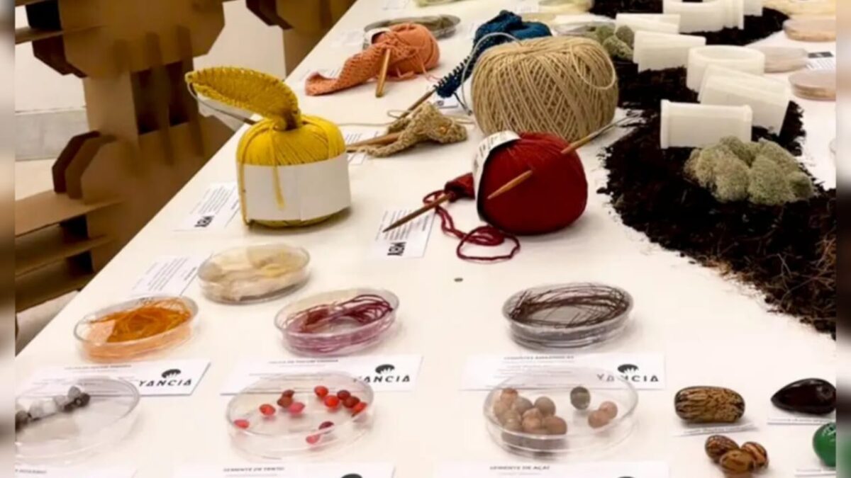 ZFM: edital tem R$ 25 milhões para startups de bioeconomia na Amazônia