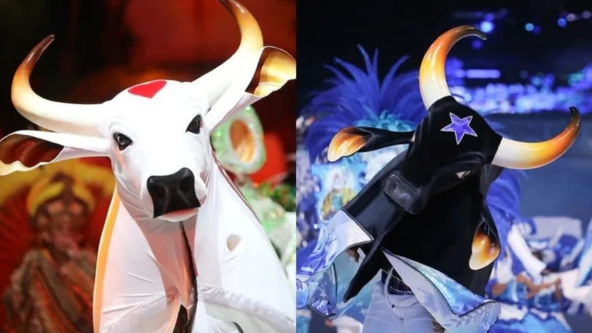 Garantido e Caprichoso levantam bandeiras da cultura e política à arena do festival