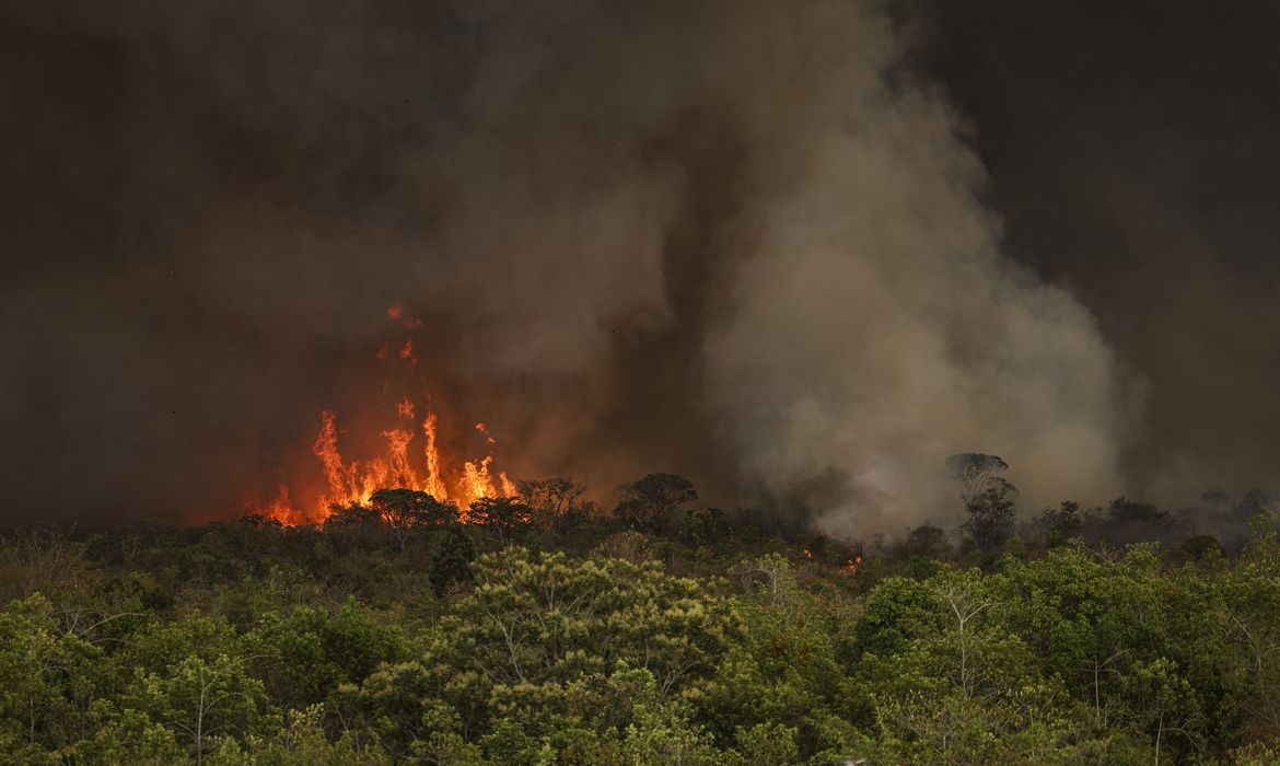 Deputados aumentam pena de prisão para quem causar incêndios florestais