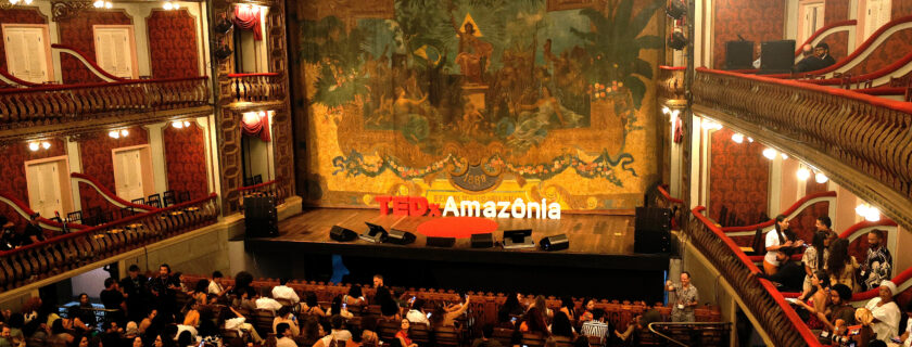 COP-30: restauração da Amazônia é tema de debate em Belém
