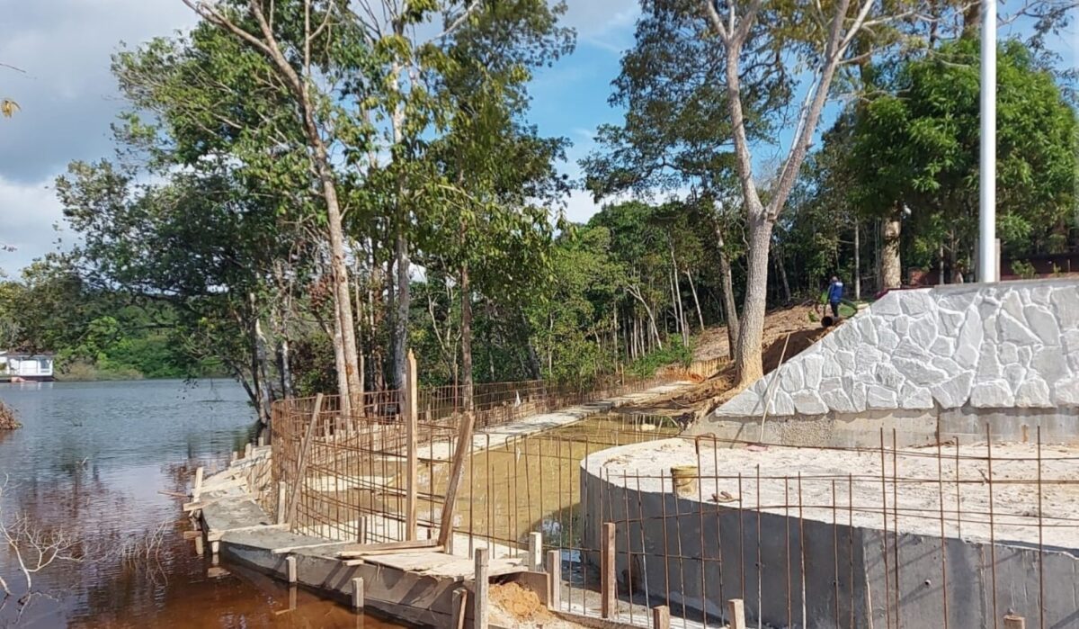 Ipaam flagra crime ambiental em terra particular no Tarumã