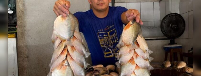 Cambada de pacu dispara e chega a R$ 100 em Manaus