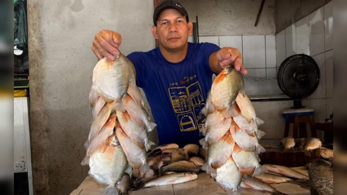 Cambada de pacu dispara e chega a R$ 100 em Manaus