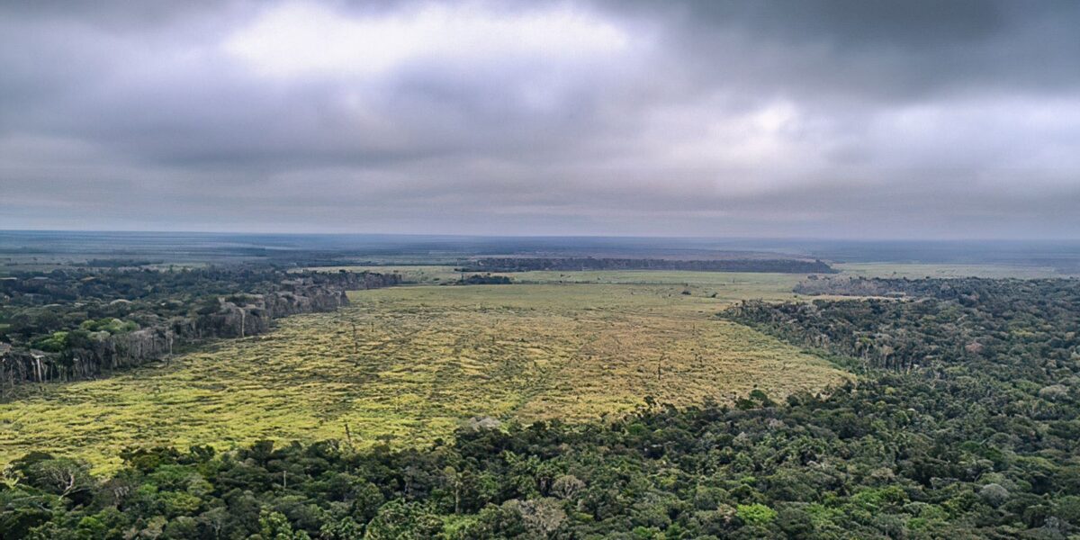 Amazônia: desmatamento sobe 8,4% de agosto de 2024 a junho de 2025