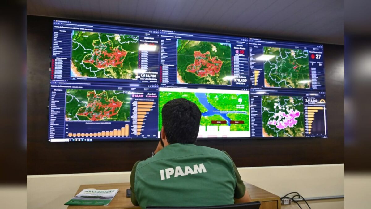 Amazonas registra queda no desmatamento e focos de calor em junho