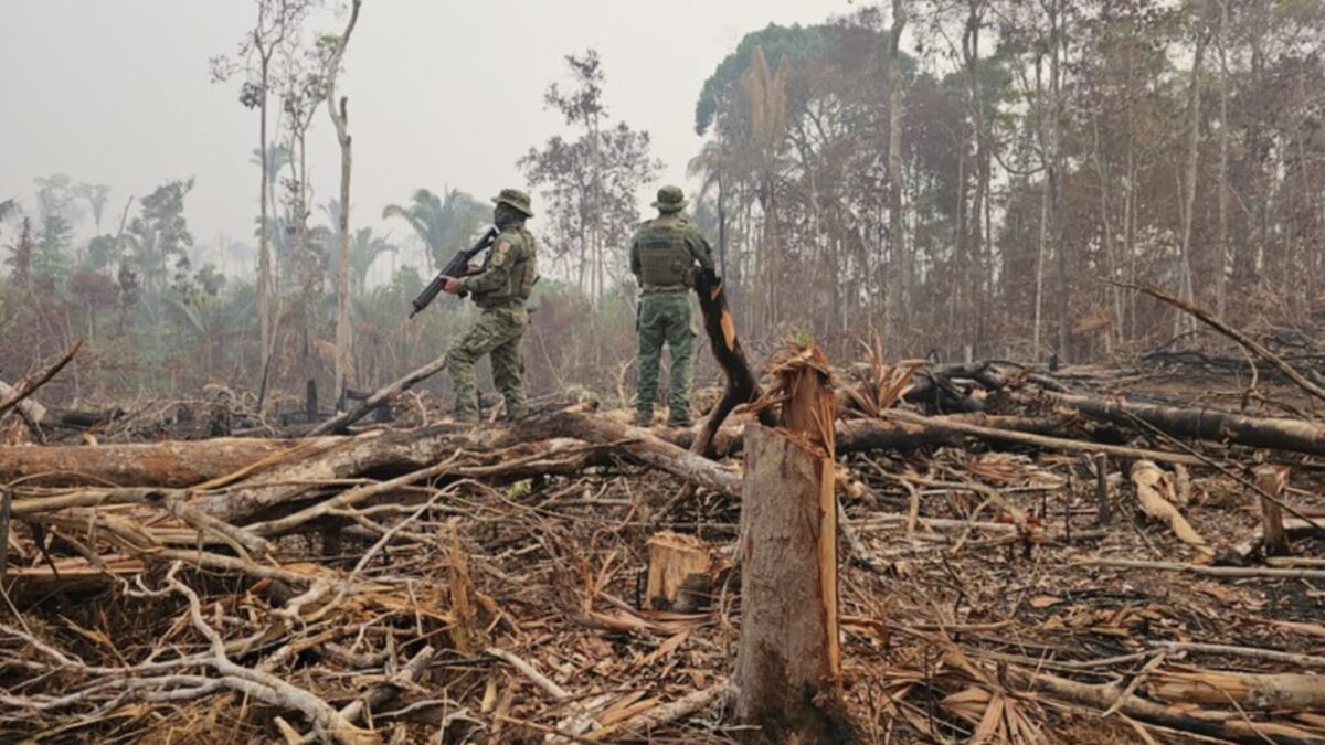 Ibama multa criminosos ambientais em R$ 173 milhões no sul do Amazonas