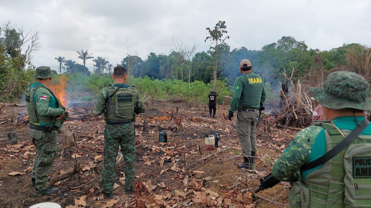 ONU diz que 'PL da devastação' pode aumentar desmatamento na Amazônia